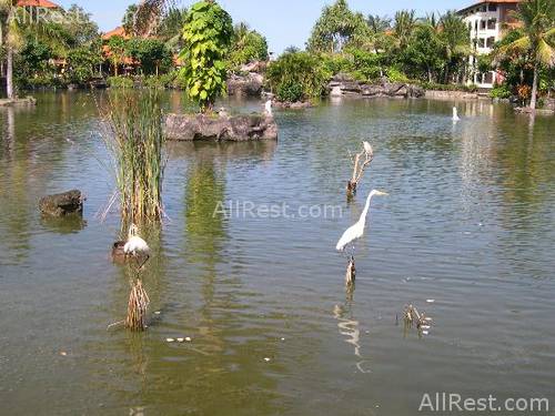 Ayodya Resort Bali 35